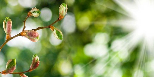 Wetterbesserung! So viel Sonne bringt der Mittwoch