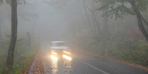 Teils dichter Nebel - wo es tückisch werden kann