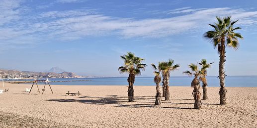 Frühling bei uns - Sommer in Spanien