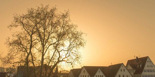 Milchiger Himmel! Wüstenstaub schwappt über
