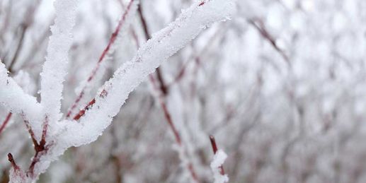 Kaltfront zieht auf! Hier Schneefall bis ins Flachland