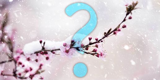 Heute: Bringt Polarluft Winter-Comeback zu dir?