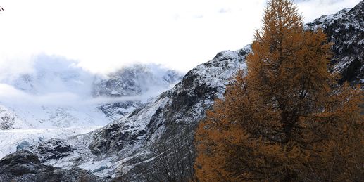 Winterfans aufgepasst: Schneefallgrenze sinkt!