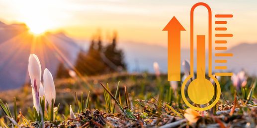 Bis zu 23 Grad - Frühling drückt auf die Tube