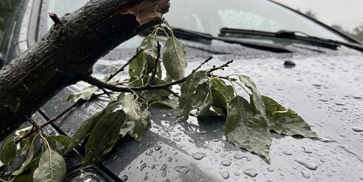 Schwere Sturm- bis Orkanböen! Hier wird der Sonntag besonders heftig