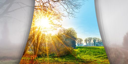 Nebelvorhang fällt - Sonne tritt auf