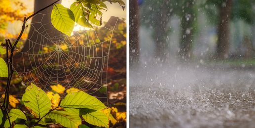 Altweibersommer vor kalter Herbstdusche mit Blitzen