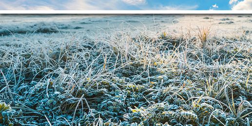 Sonne, Bodenfrost und erneute Zweiteilung