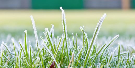 Erster Bodenfrost! Kaltstart in den Sonntag