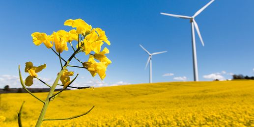 Weiter unter 20 Grad - Maiwärme bleibt noch limitiert