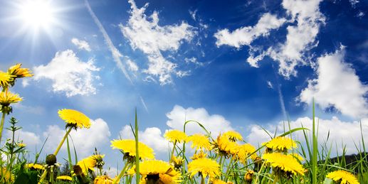 Wohlfühlwetter in Sicht - und ein großes Problem