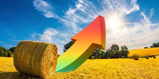 Ab jetzt steigen die Temperaturen