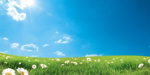 Sonniger Freitag - mit zwei Ausnahmen
