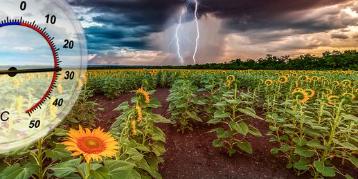 Schauer und Gewitter - aber auch bis 28 Grad