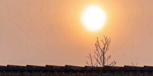 Donnerstag: Bis zu 20 Grad und Saharastaub in der Luft