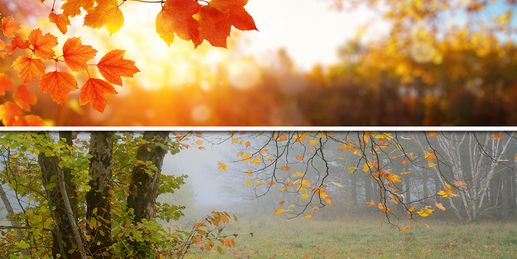 Dienstag: Hochdruckgebiet bringt Sonne und Nebel