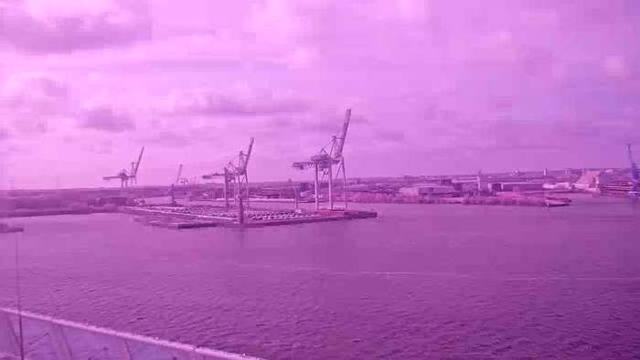 HD Live Webcam Hamburg - HafenCity NEW WORK Harbour