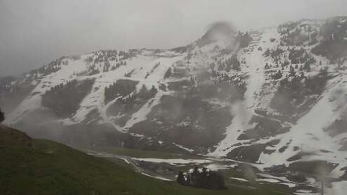HD Live Webcam Mayrhofen - Zillertal - Horberg Hintertrett