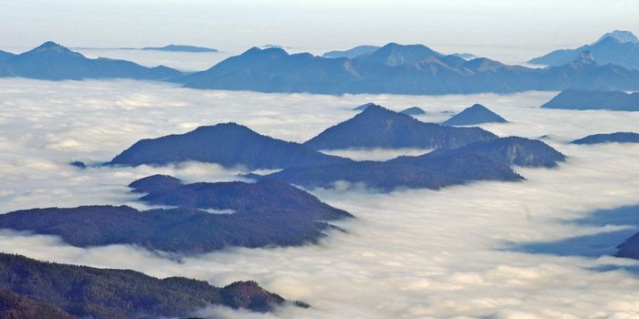 Was ist eine Inversion