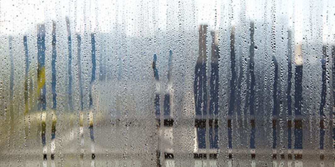 Wenn Die Schwule Zur Belastung Wird Wetterwissen News Wetter