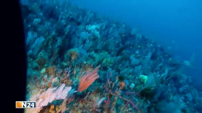 Zweites Great Barrier Reef entdeckt