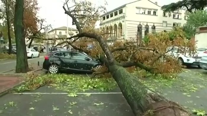 Heftige Stürme  - Orkan trifft Südwestfrankreich