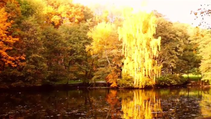 Tarik nimmt Platz: Grusel-Wetter zu Halloween?