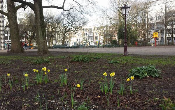 Ein Hauch von Frühling im Januar