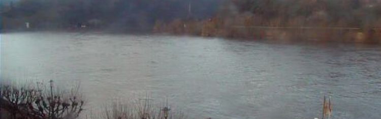 Livecam Boppard - Bellevue Rheinhotel Livecam Boppard - Bellevue Rheinhotel