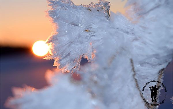 Februar-Impressionen