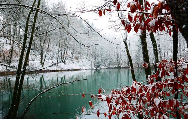 Februar-Impressionen