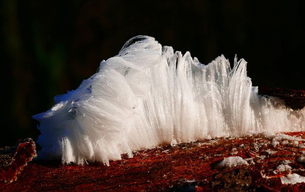 Februar-Impressionen