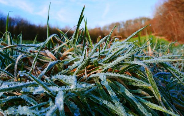 Februar-Impressionen