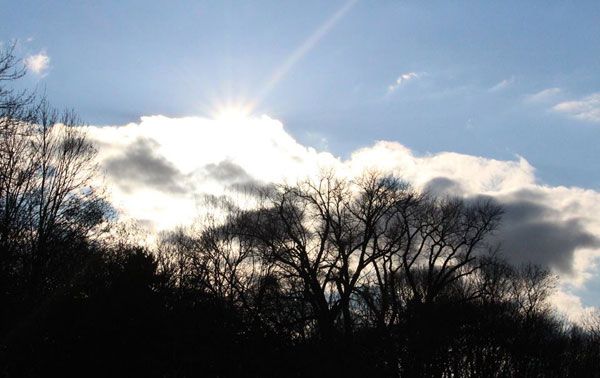 Februar-Impressionen