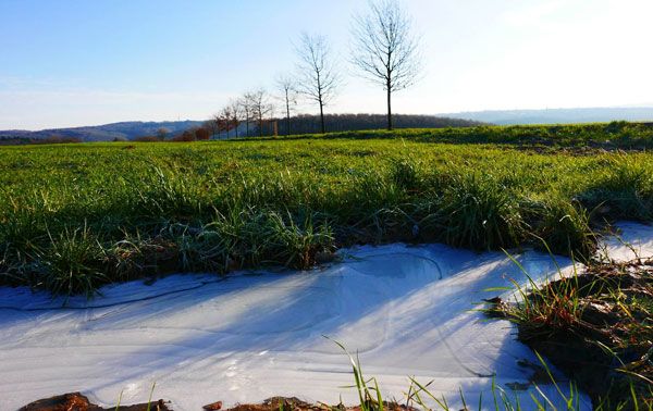 Februar-Impressionen