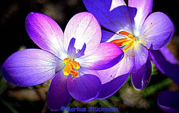 Februar-Impressionen