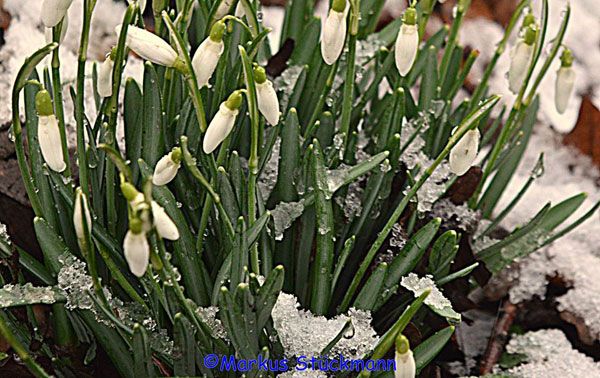 Februar-Impressionen