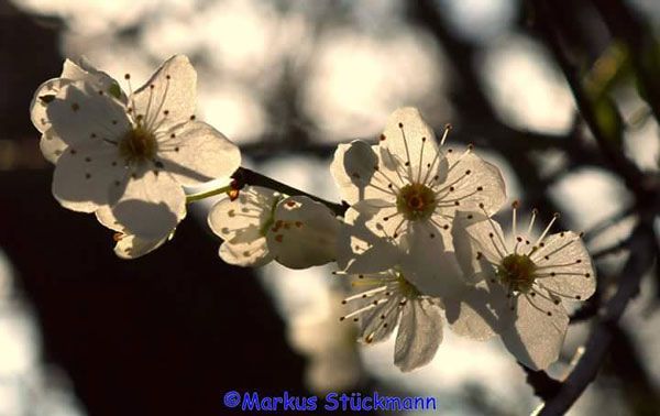 Februar-Impressionen