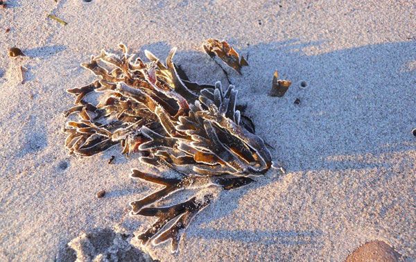 Februar-Impressionen