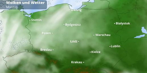 Video Polen-Wetter