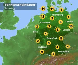 Wetterfilm Gesundheit: Pollen, Ozon, UV und Biowetter