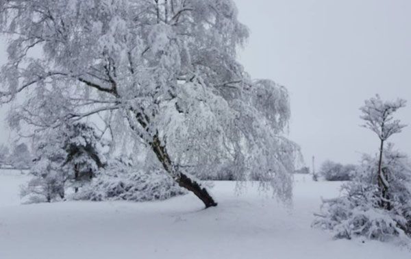 Winterüberraschung zum Start in den April!