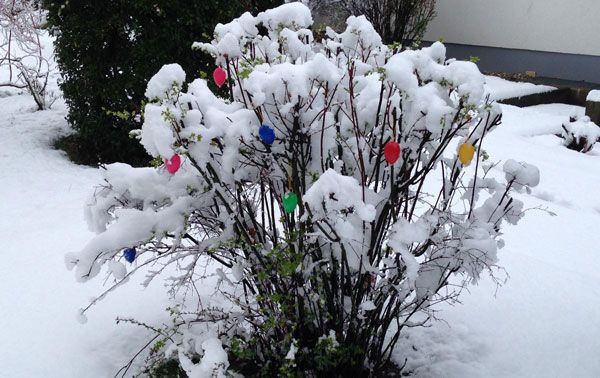 Winterüberraschung zum Start in den April!