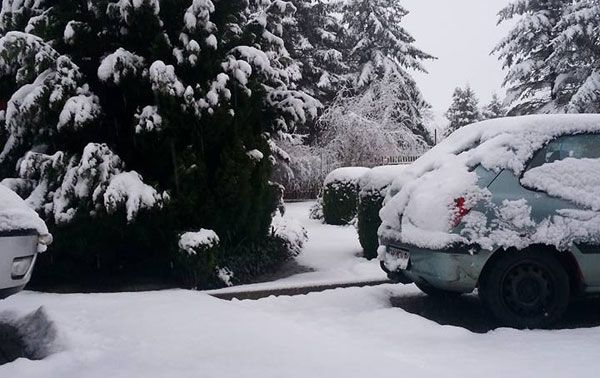 Winterüberraschung zum Start in den April!