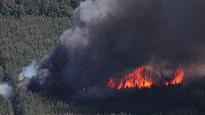Waldbrände: Brandenburg Gefahrenherd Nummer 1