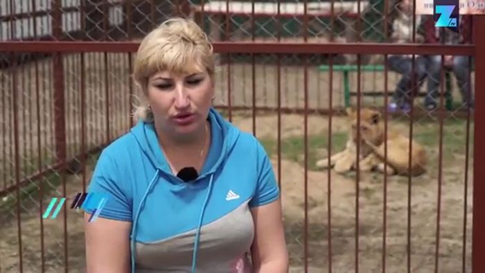 Gefährliche Freundschaft: Löwe spielt mit Puma