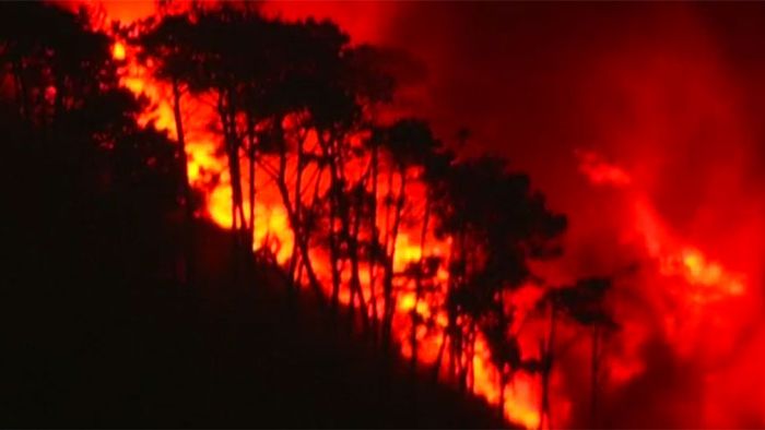 Deutsche Touristen fliehen vor Feuerinferno auf Madeira