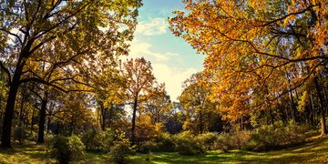 Den goldenen Oktober haben wir in diesem Jahr in Deutschland noch nicht erlebt.