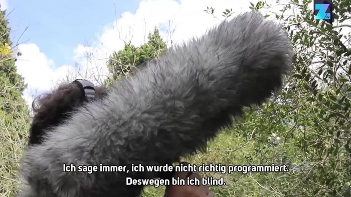 Unglaublich: Blinder erkennt 3.000 Vogelgeräusche