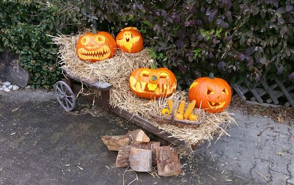 Halloween-Kürbisse mit fiesen Fratzen